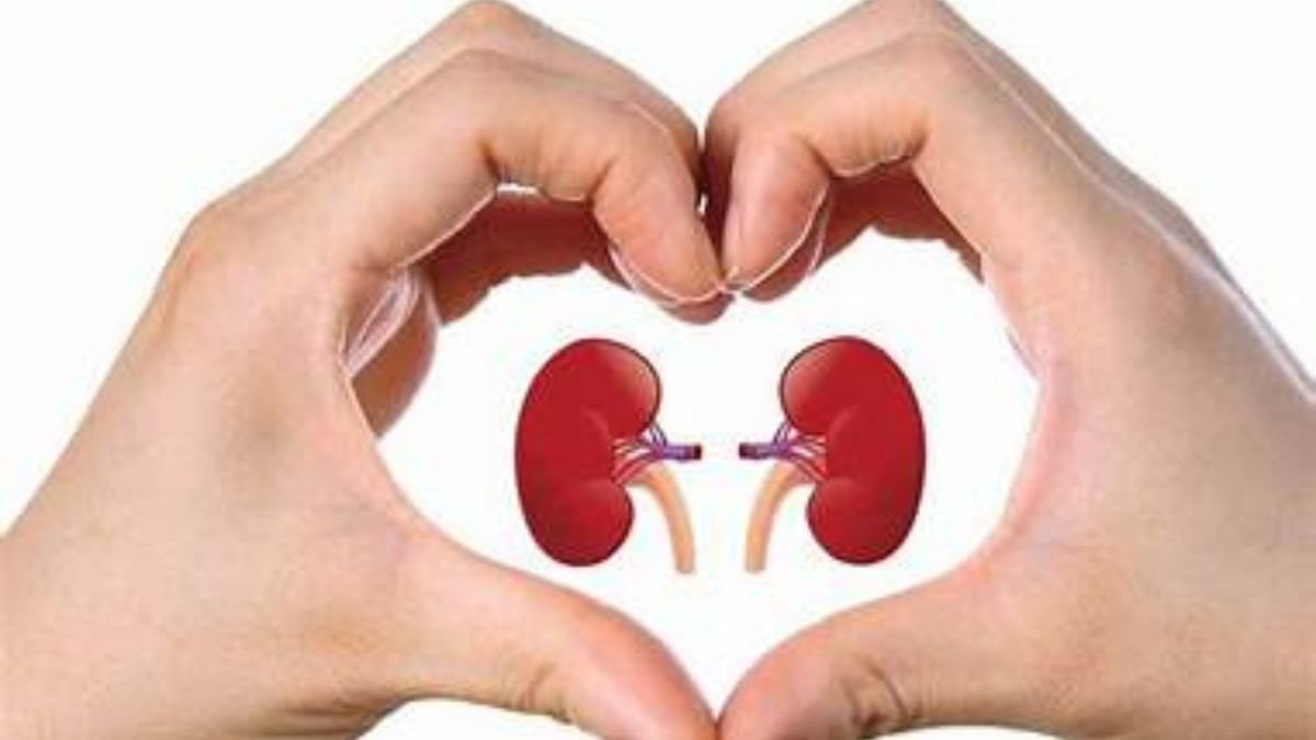 Preventive Tips for Heart and Kidney Health