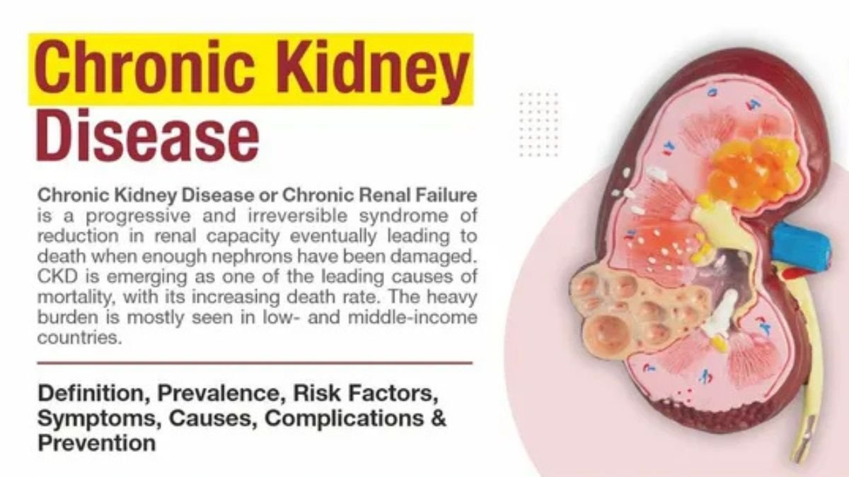 Understanding Kidney Disease in Simple Words